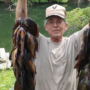 Meet your Posher, Mark